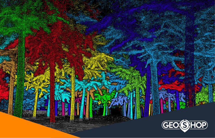 Лісове господарство та інвентаризація рослинності